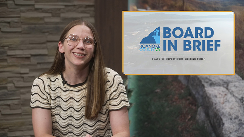 Video still from the Board in Brief video